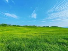 -坝上京北第一草原景区