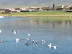 -青海湖国家重点风景名胜区