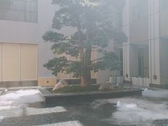 -外滩·云南人家(昆明旗舰店)