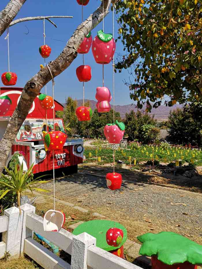 来拜县最好呆个几天,慢慢得游玩,草莓园相对远一点,有喝水的地方,很多