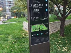 -唐城墙遗址公园