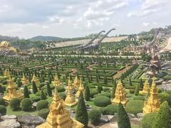 -东芭乐园