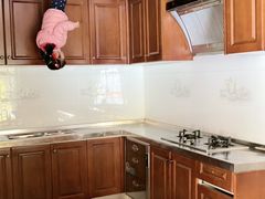 -金山农民画村-枫泾波兰倒置屋