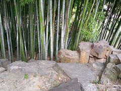 -北寺塔