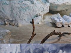 -珠海长隆海洋王国