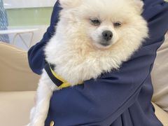 -怪兽屋·羊驼·猫咖·狗咖(俊华广场店)