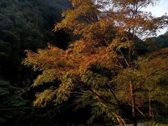 -水墨汀溪风景区