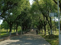 -白塘生态植物园