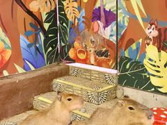 -正佳雨林生态植物园
