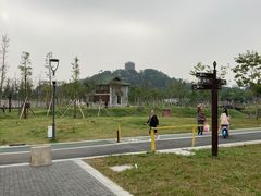 -王借岗森林公园