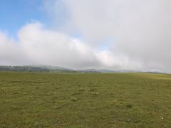 -御道口草原森林风景区