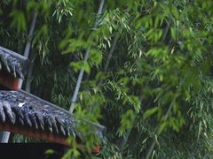 -望江楼公园