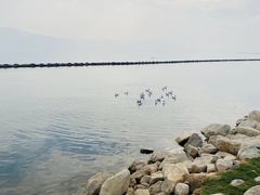 -大理洱海