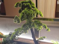 -宏宴·新京菜(望京店)