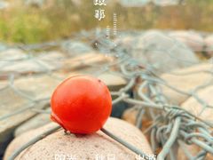 -周口店坡峰岭风景区