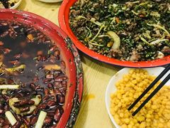 -东吴霸王兔(松青路店)