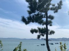 -海源公园