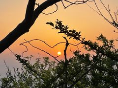 -紫金山山顶公园