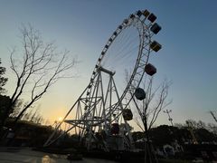 -上海野生动物园