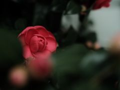 -华东政法大学(松江校区)