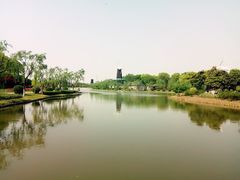 -上海鲜花港
