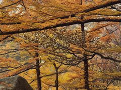 -崂山巨峰游览区