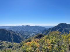 -大岭沟猕猴桃谷风景区