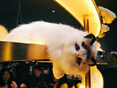 景观位-黄晓猫剁椒大鱼头(海岸城店)