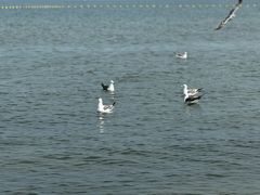 -那香海钻石沙滩浴场