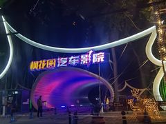 -枫花园汽车电影院(朝阳公园店)