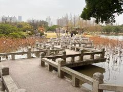 -江心屿景区