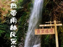 -莫里热带雨林景区