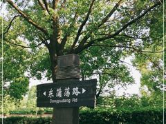 -广富林郊野公园