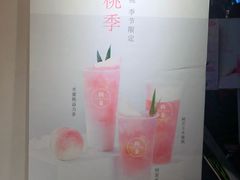 -树夏(建设路店)