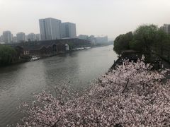 -运河游船(武林门码头)