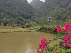 -靖西鹅泉风景区