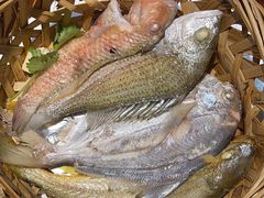 -百年银屏蚝烙·潮汕菜·非遗(乐山店)