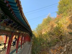 -兰山公园