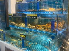 -鲜鲜·鲅鱼圈海鲜(于洪店)
