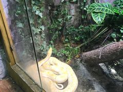 -上海大自然野生昆虫馆(东方明珠·爬宠昆虫探索中心)
