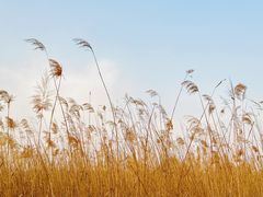 -处女泉风景名胜区