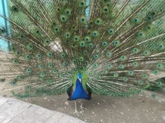 -水上乐园·欢乐世界