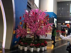-保利国际影城(保利文化广场店)