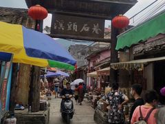 -广州市流溪河国家森林公园