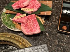 -老乾杯(深圳湾万象城店)