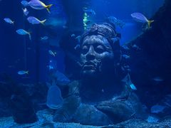 -暹罗海洋世界