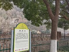 -幕燕滨江·长江观音景区