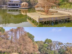 -广州市白云山风景名胜区