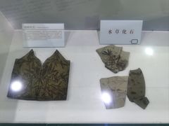 -中国第四纪冰川遗迹陈列馆