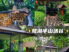 -美的鹭湖森林度假区